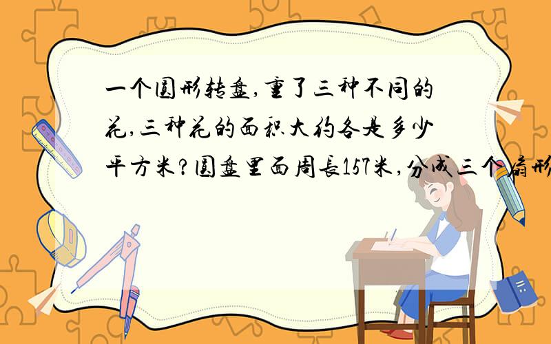 一个圆形转盘,重了三种不同的花,三种花的面积大约各是多少平方米?圆盘里面周长157米,分成三个扇形,菊花扇形90°,一串红150°,玫瑰120°.