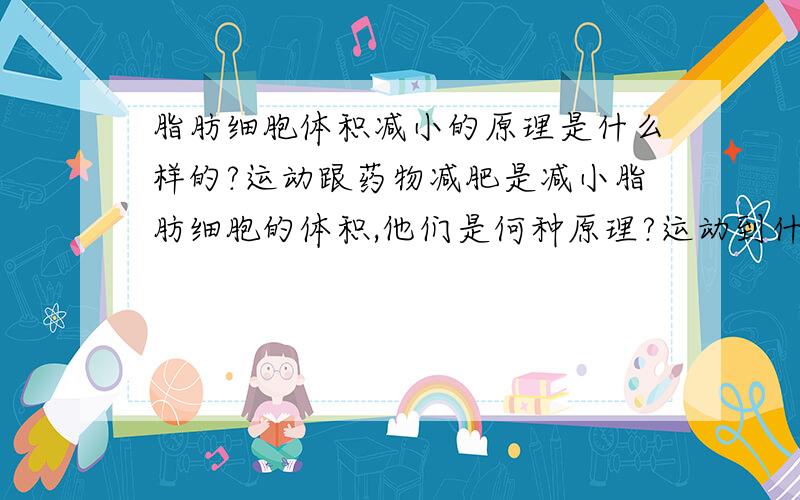 脂肪细胞体积减小的原理是什么样的?运动跟药物减肥是减小脂肪细胞的体积,他们是何种原理?运动到什么样的程度或者吃药物怎么减的?