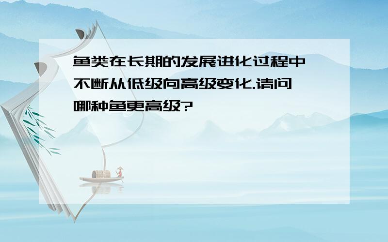 鱼类在长期的发展进化过程中,不断从低级向高级变化.请问,哪种鱼更高级?