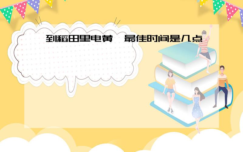 到稻田里电黄鳝最佳时间是几点