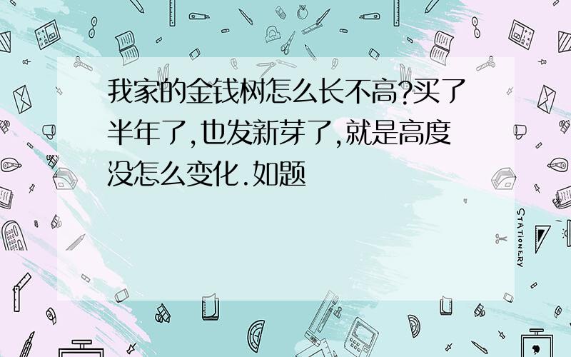 我家的金钱树怎么长不高?买了半年了,也发新芽了,就是高度没怎么变化.如题