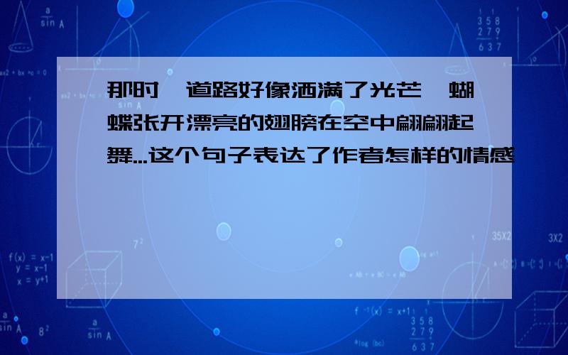 那时,道路好像洒满了光芒,蝴蝶张开漂亮的翅膀在空中翩翩起舞...这个句子表达了作者怎样的情感