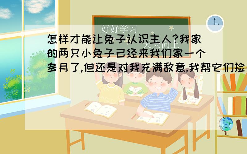 怎样才能让兔子认识主人?我家的两只小兔子已经来我们家一个多月了,但还是对我充满敌意,我帮它们捡残食它们还咬我呢!让兔子认识我,认识它们的主人?