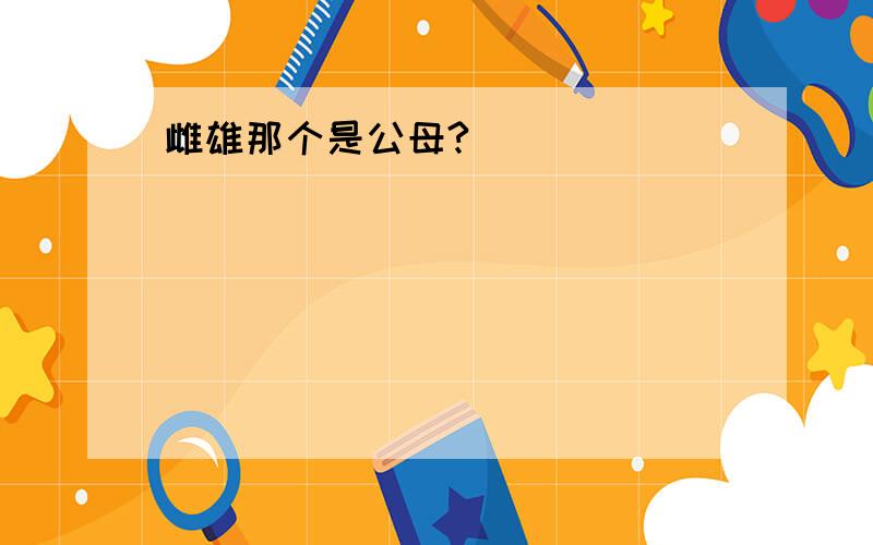 雌雄那个是公母?