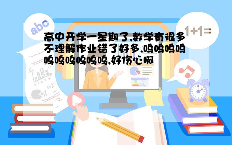 高中开学一星期了,数学有很多不理解作业错了好多,呜呜呜呜呜呜呜呜呜呜,好伤心啊