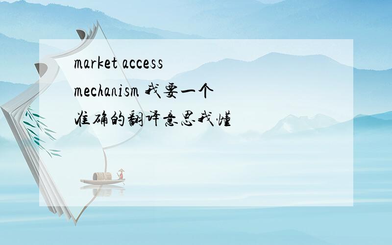 market access mechanism 我要一个准确的翻译意思我懂