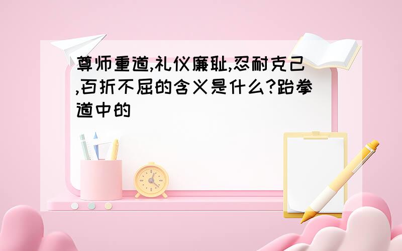 尊师重道,礼仪廉耻,忍耐克己,百折不屈的含义是什么?跆拳道中的