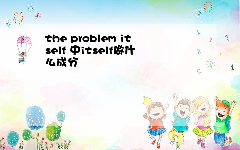 the problem itself 中itself做什么成分