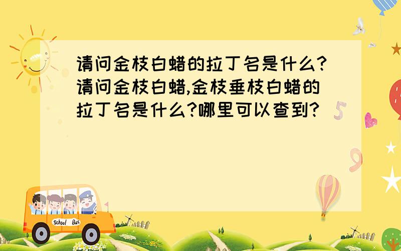 请问金枝白蜡的拉丁名是什么?请问金枝白蜡,金枝垂枝白蜡的拉丁名是什么?哪里可以查到?