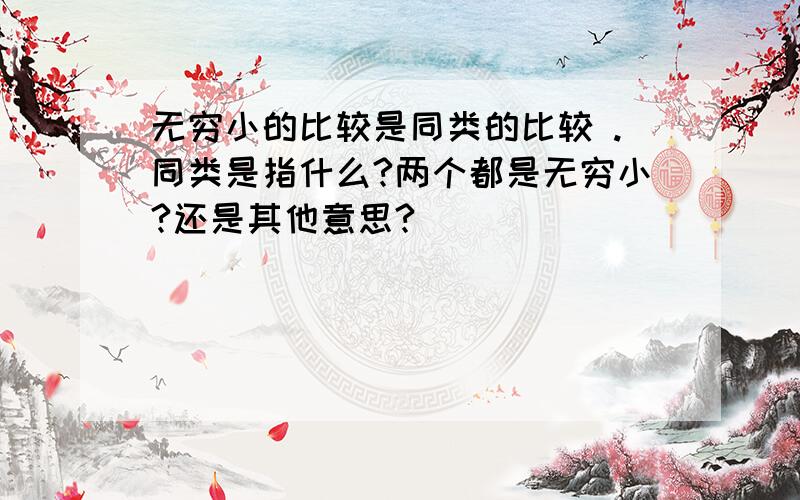 无穷小的比较是同类的比较 .同类是指什么?两个都是无穷小?还是其他意思?