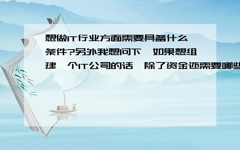 想做IT行业方面需要具备什么条件?另外我想问下,如果想组建一个IT公司的话,除了资金还需要哪些更重要的条件?