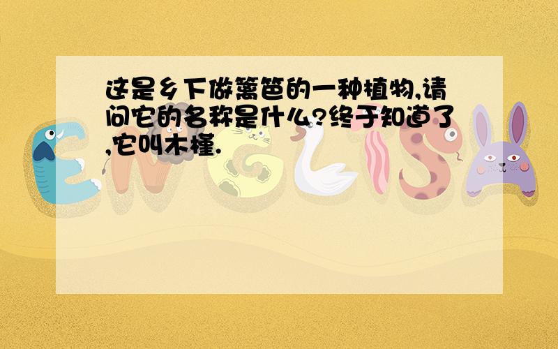 这是乡下做篱笆的一种植物,请问它的名称是什么?终于知道了,它叫木槿.