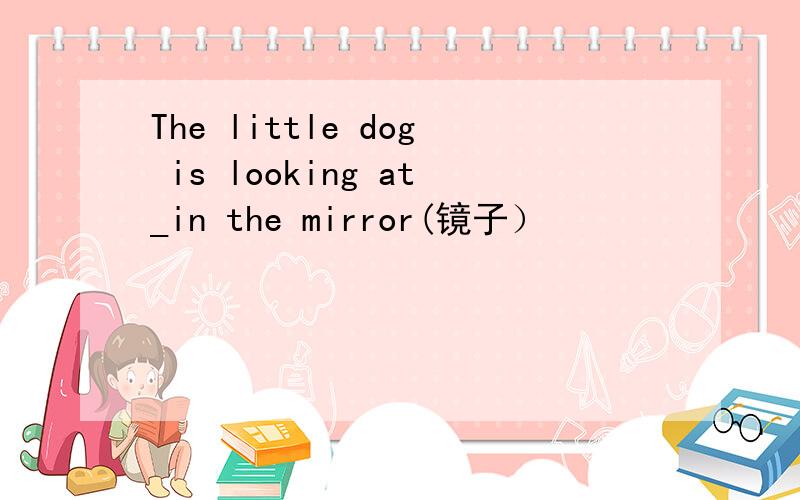 The little dog is looking at_in the mirror(镜子）
