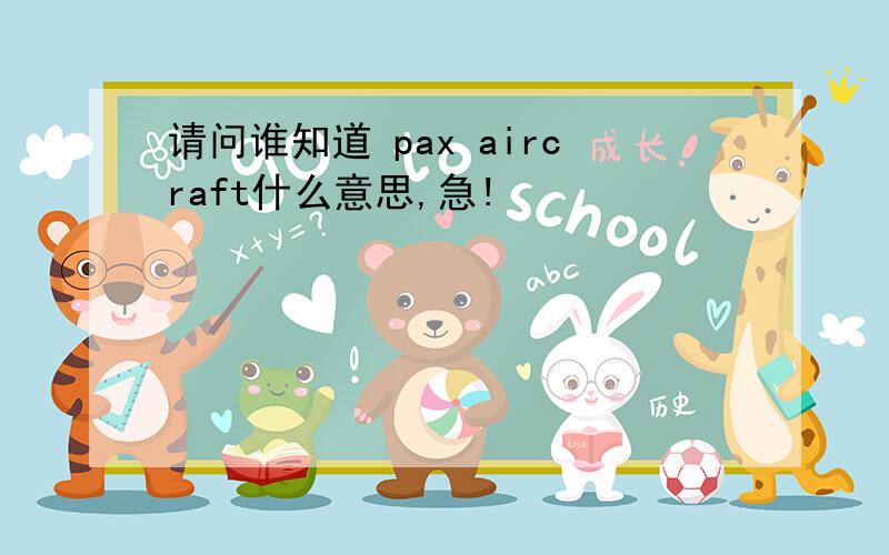 请问谁知道 pax aircraft什么意思,急!