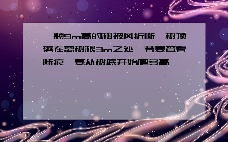 一颗9m高的树被风折断,树顶落在离树根3m之处,若要查看断痕,要从树底开始爬多高