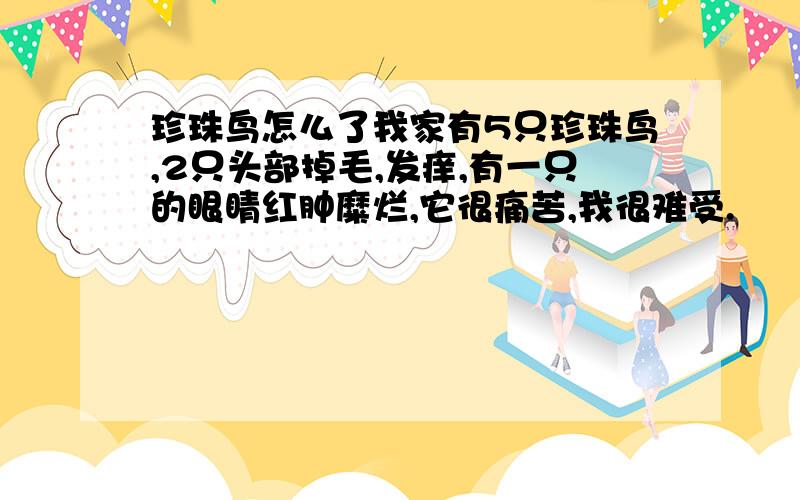 珍珠鸟怎么了我家有5只珍珠鸟,2只头部掉毛,发痒,有一只的眼睛红肿糜烂,它很痛苦,我很难受.