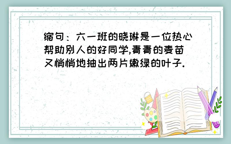 缩句：六一班的晓琳是一位热心帮助别人的好同学,青青的麦苗又悄悄地抽出两片嫩绿的叶子.