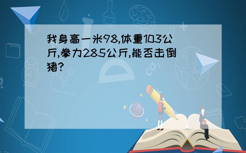 我身高一米98,体重103公斤,拳力285公斤,能否击倒猪?