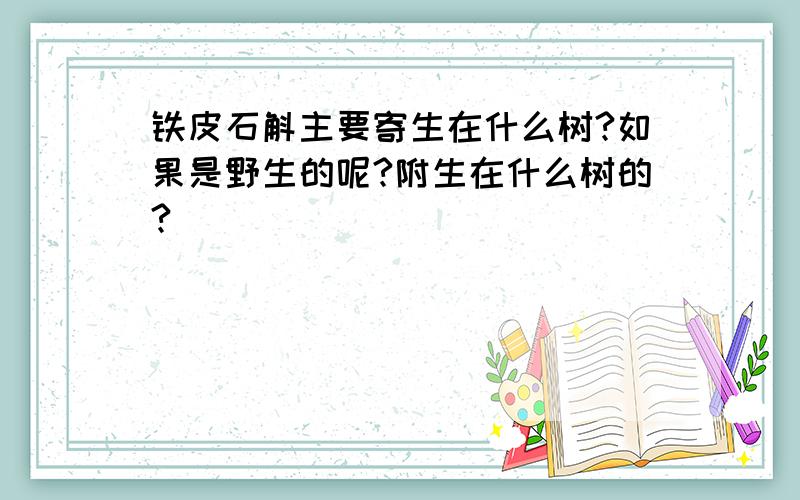 铁皮石斛主要寄生在什么树?如果是野生的呢?附生在什么树的?