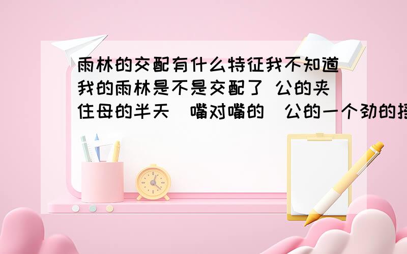 雨林的交配有什么特征我不知道我的雨林是不是交配了 公的夹住母的半天`嘴对嘴的`公的一个劲的摇尾巴 最后俩人分开时 还在公的嘴里带出来一个白色的东西 像舌头一样 还是生殖器``我可