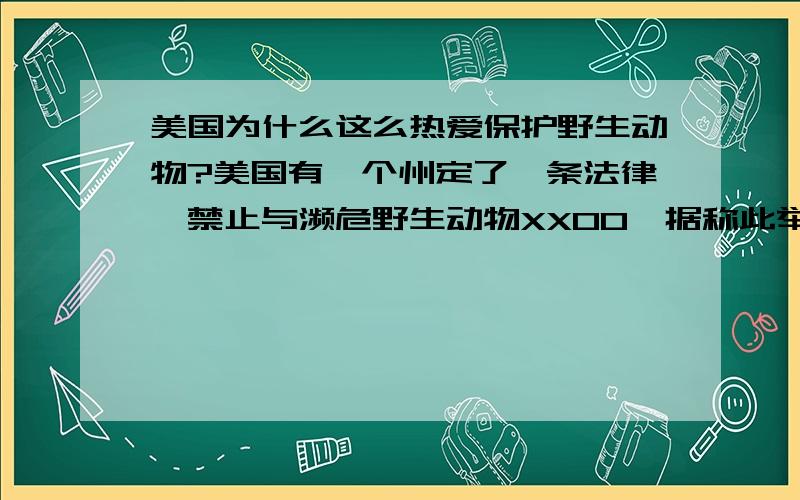 美国为什么这么热爱保护野生动物?美国有一个州定了一条法律,禁止与濒危野生动物XXOO,据称此举是为了保护濒危野生动物正常繁衍后代.