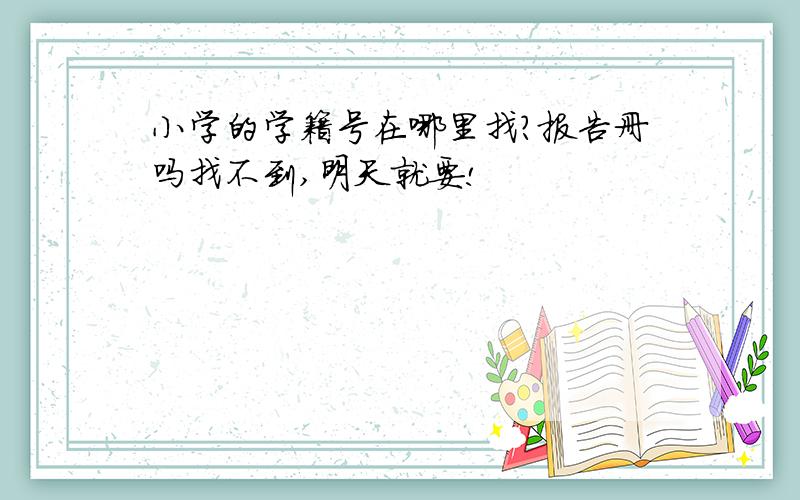 小学的学籍号在哪里找?报告册吗找不到,明天就要!