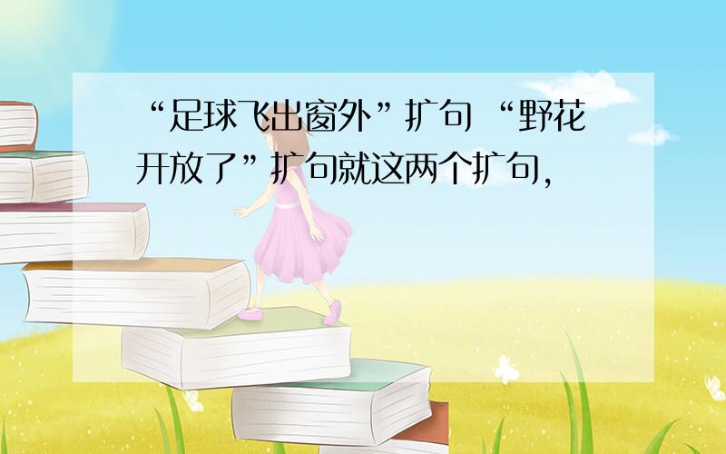 “足球飞出窗外”扩句 “野花开放了”扩句就这两个扩句,