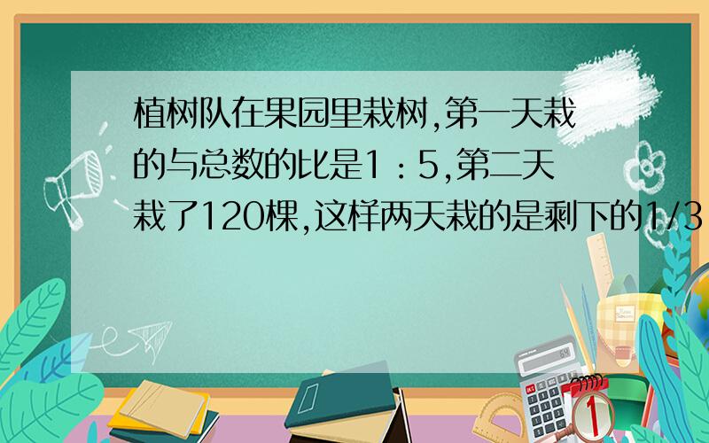 植树队在果园里栽树,第一天栽的与总数的比是1：5,第二天栽了120棵,这样两天栽的是剩下的1/3,现在果园