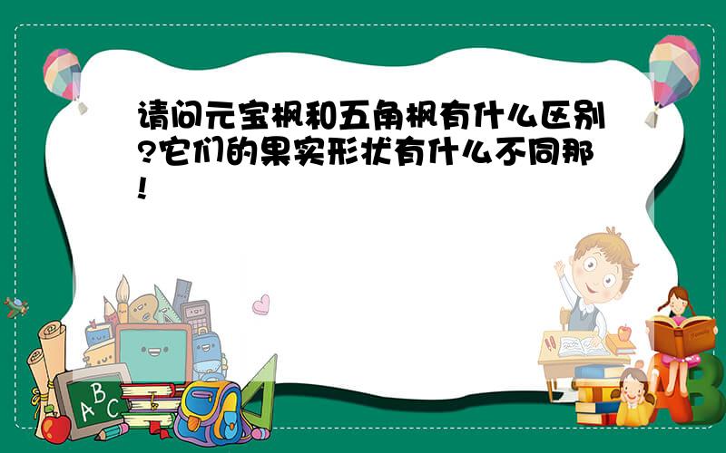 请问元宝枫和五角枫有什么区别?它们的果实形状有什么不同那!