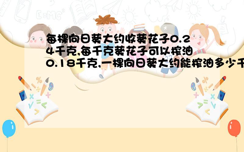 每棵向日葵大约收葵花子0.24千克,每千克葵花子可以榨油0.18千克,一棵向日葵大约能榨油多少千克?合多少克