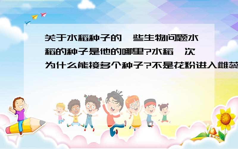 关于水稻种子的一些生物问题水稻的种子是他的哪里?水稻一次为什么能接多个种子?不是花粉进入雌蕊是一粒吗