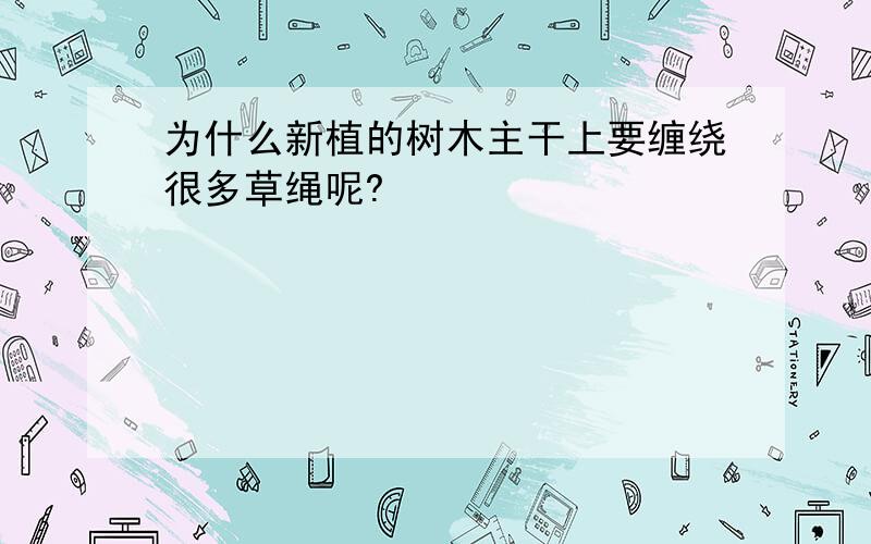 为什么新植的树木主干上要缠绕很多草绳呢?