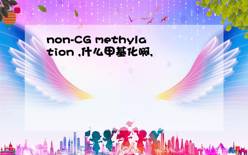 non-CG methylation ,什么甲基化啊,