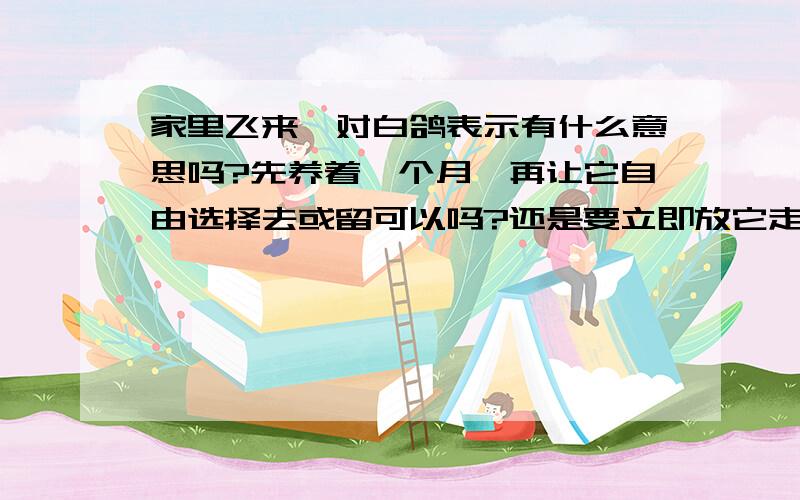 家里飞来一对白鸽表示有什么意思吗?先养着一个月,再让它自由选择去或留可以吗?还是要立即放它走?