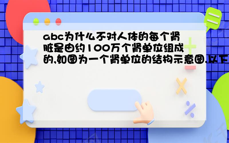 abc为什么不对人体的每个肾脏是由约100万个肾单位组成的,如图为一个肾单位的结构示意图.以下有关叙述中正确的是A．流入的动脉血中含有较多的二氧化碳 B．流出的静脉血中二氧化碳和代