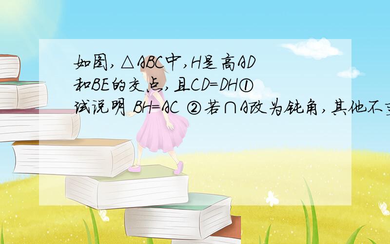 如图,△ABC中,H是高AD和BE的交点,且CD=DH①试说明 BH=AC ②若∩A改为钝角,其他不变,探索BH=AC还成立么?补充图