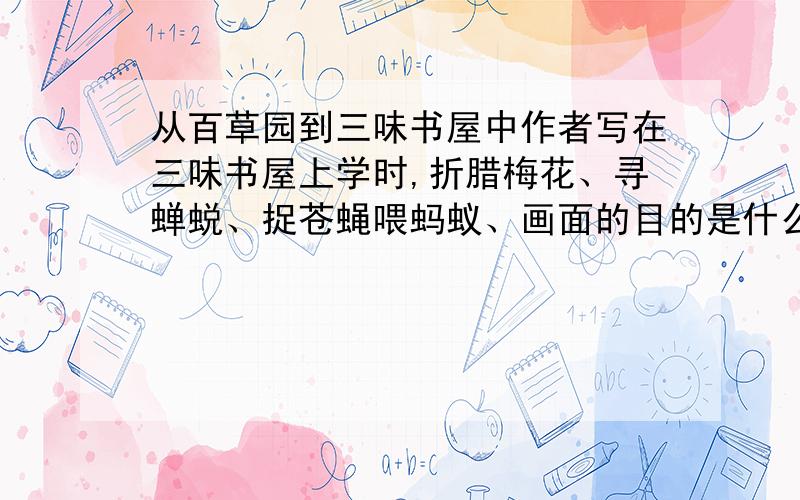 从百草园到三味书屋中作者写在三味书屋上学时,折腊梅花、寻蝉蜕、捉苍蝇喂蚂蚁、画面的目的是什么?