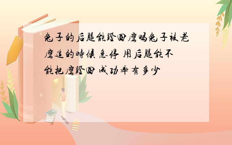 兔子的后腿能蹬四鹰吗兔子被老鹰追的时候 急停 用后腿能不能把鹰蹬四 成功率有多少