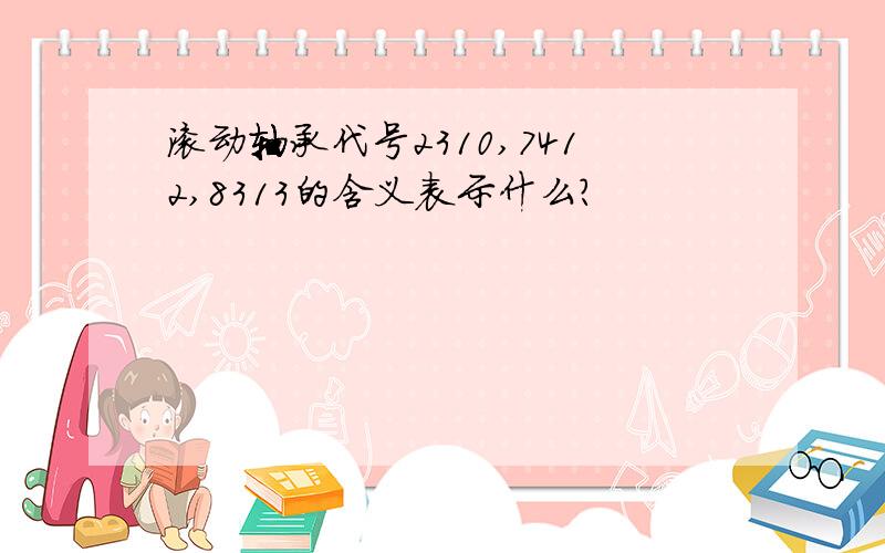 滚动轴承代号2310,7412,8313的含义表示什么?