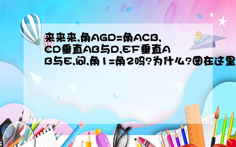 来来来,角AGD=角ACB,CD垂直AB与D,EF垂直AB与E,问,角1=角2吗?为什么?图在这里