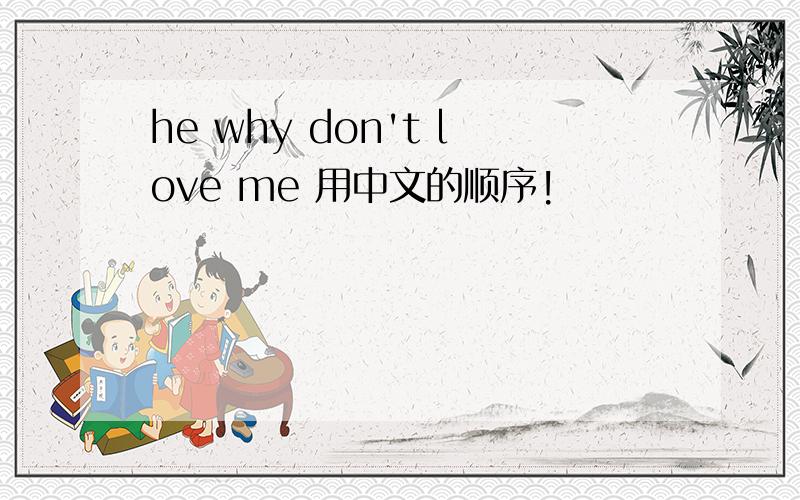 he why don't love me 用中文的顺序!