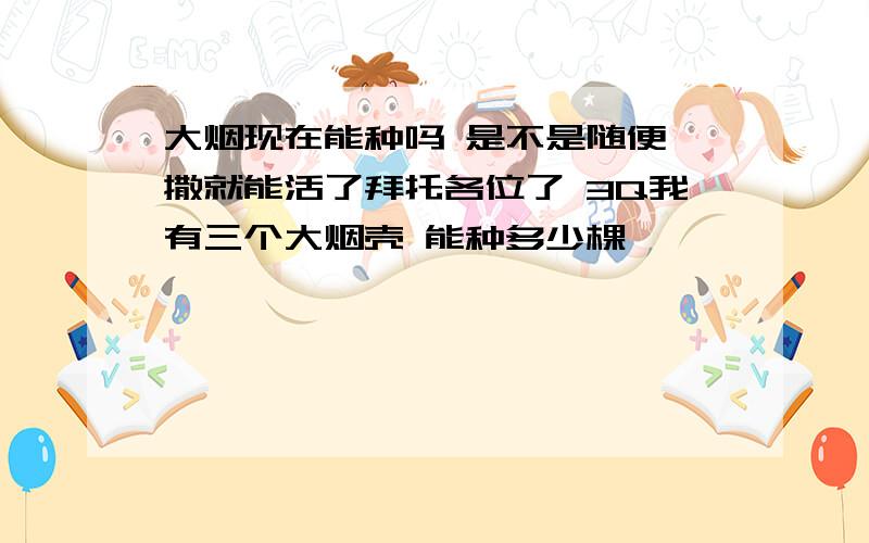 大烟现在能种吗 是不是随便一撒就能活了拜托各位了 3Q我有三个大烟壳 能种多少棵