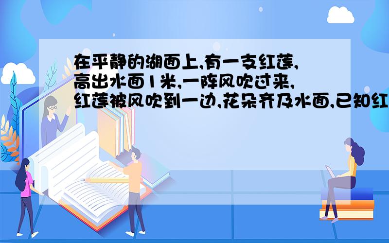 在平静的湖面上,有一支红莲,高出水面1米,一阵风吹过来,红莲被风吹到一边,花朵齐及水面,已知红莲移动的水平距离为2米,问这里的水有多深要求解法和理由