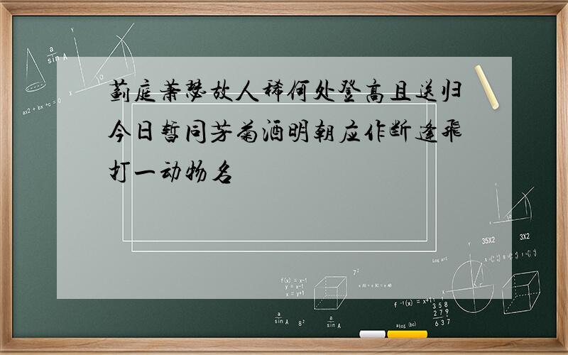 蓟庭萧瑟故人稀何处登高且送归今日暂同芳菊酒明朝应作断逢飞打一动物名