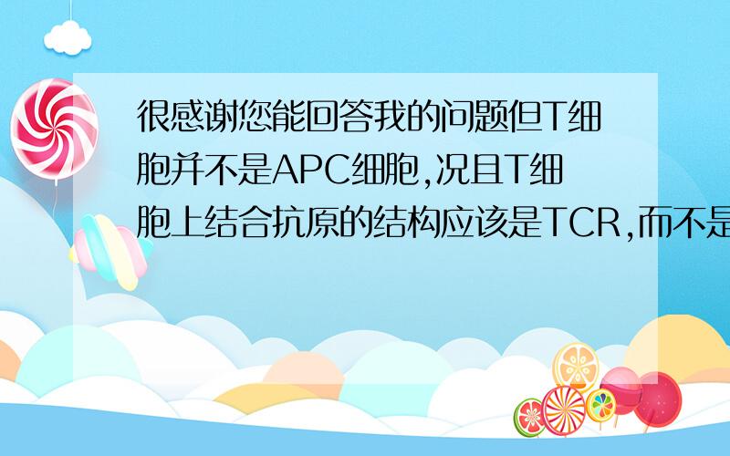 很感谢您能回答我的问题但T细胞并不是APC细胞,况且T细胞上结合抗原的结构应该是TCR,而不是MHC