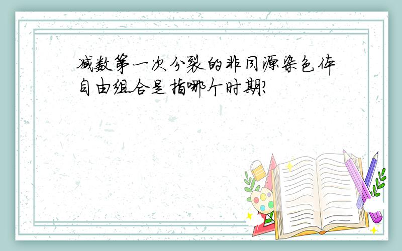 减数第一次分裂的非同源染色体自由组合是指哪个时期?