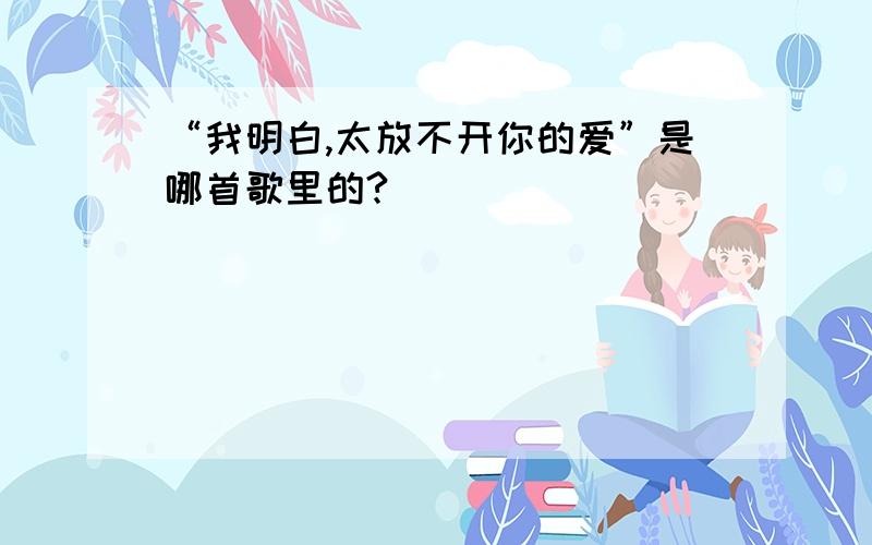 “我明白,太放不开你的爱”是哪首歌里的?