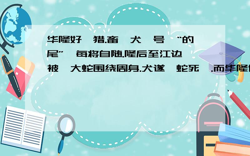 华隆好弋猎.畜一犬,号曰“的尾”,每将自随.隆后至江边,被一大蛇围绕周身.犬遂咋蛇死焉.而华隆僵仆无所知矣.犬彷徨嗥吠,往复路间.家人怪其如此,因随犬往.隆闷绝委地.载归家,二日乃苏.隆