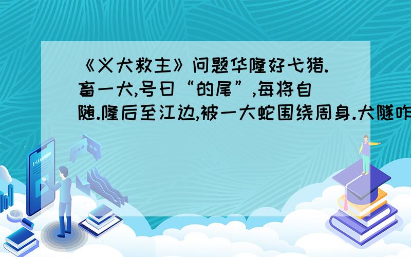 《义犬救主》问题华隆好弋猎.畜一犬,号曰“的尾”,每将自随.隆后至江边,被一大蛇围绕周身.犬隧咋蛇死焉.而华隆僵仆无所知矣.犬彷徨嗥吠,往复路间.家人怪（怪：对...感到不解,疑惑）其