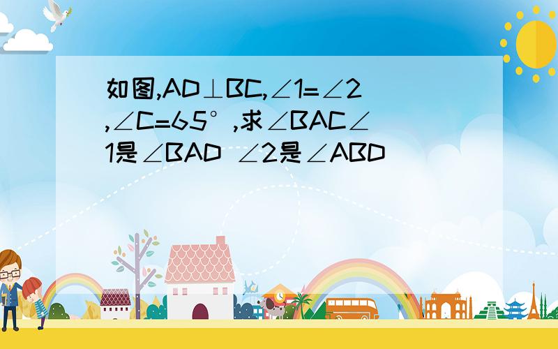 如图,AD⊥BC,∠1=∠2,∠C=65°,求∠BAC∠1是∠BAD ∠2是∠ABD